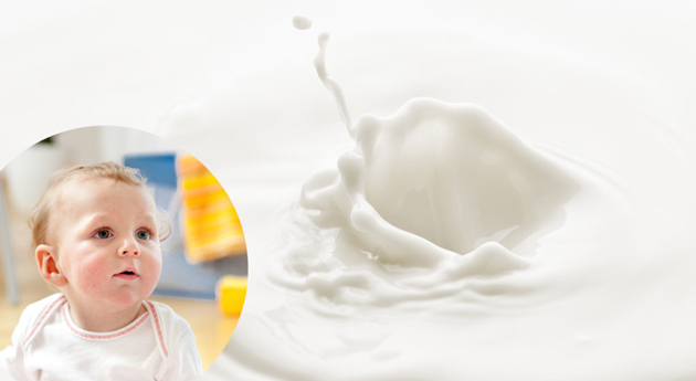 Palm oil - an important component of Holle Infant Milk Foods