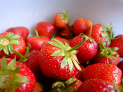 Weaning Babies, Strawberries and Allergies - Plus a Quick Summer Recipe For Older Babies