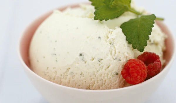 Homemade Mint Ice Cream