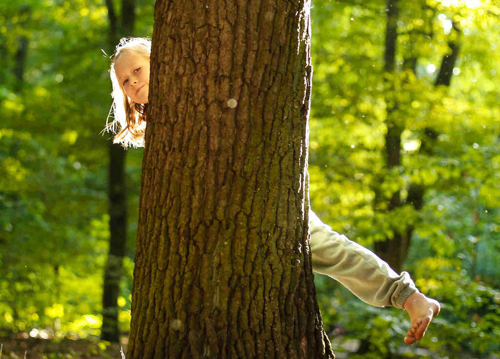 Unplug and Explore: 10 Nature Adventures Without Toys